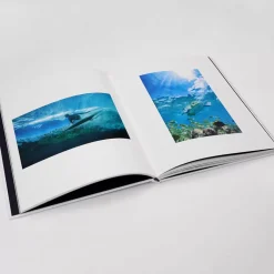 OXBOW Goodies|Accessories-Book HONO Uni