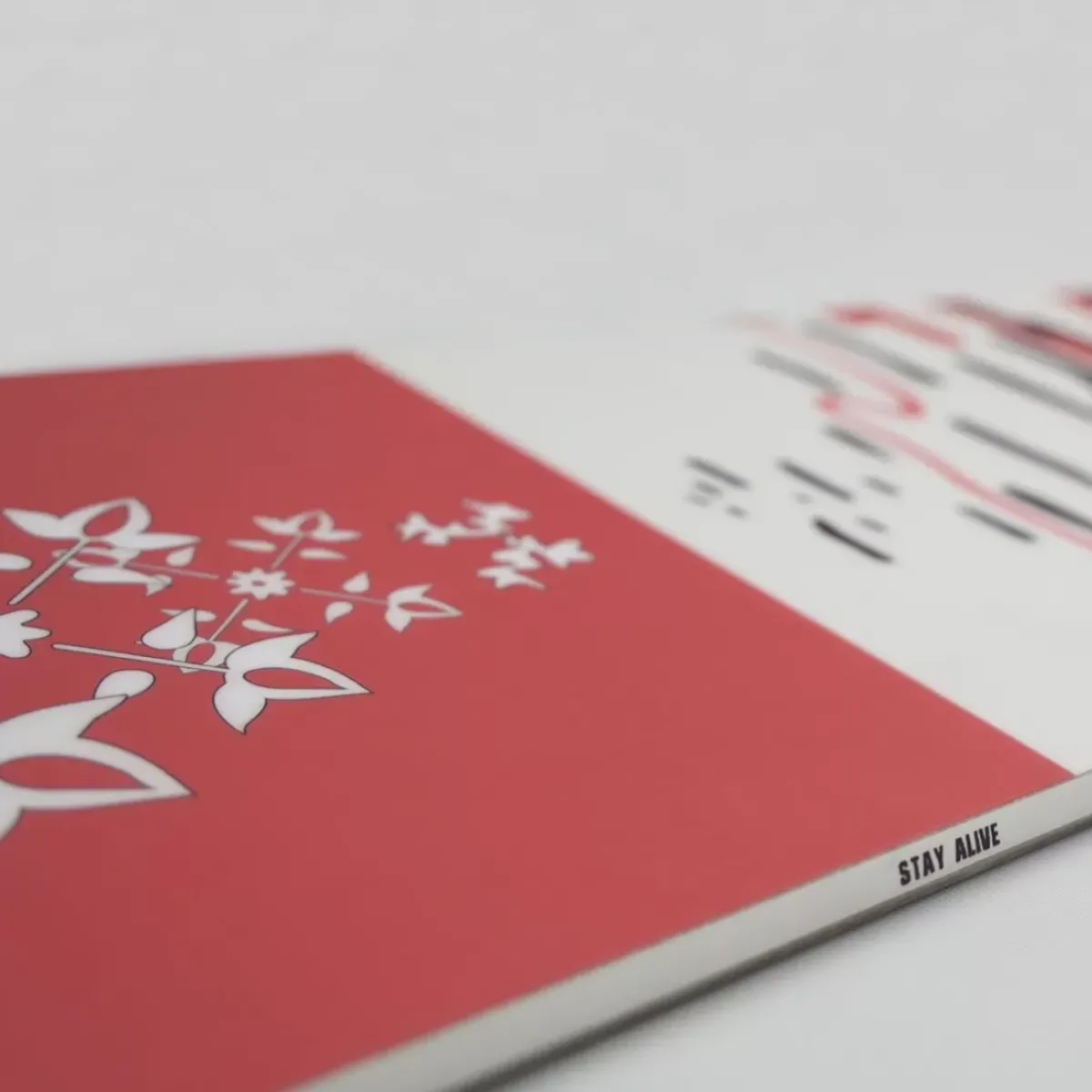 OXBOW Snowboard|Snow-Snowboard HYACINTH - Salt